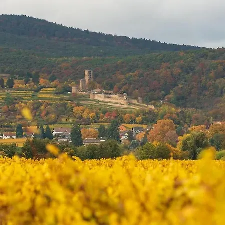 דירה Unter Den Reben