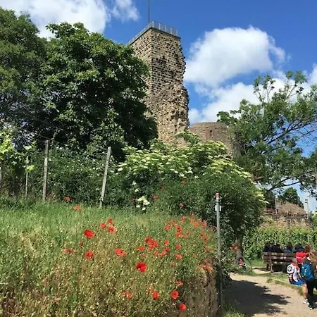 דירה Unter Den Reben Niederkirchen bei Deidesheim