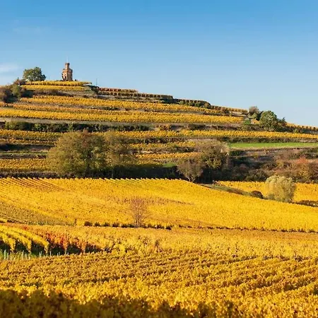 Unter Den Reben * Niederkirchen bei Deidesheim