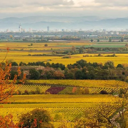 דירה Unter Den Reben *