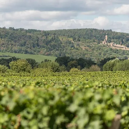 Unter Den Reben Apartment *