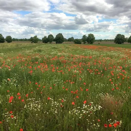 Unter Den Reben דירה
