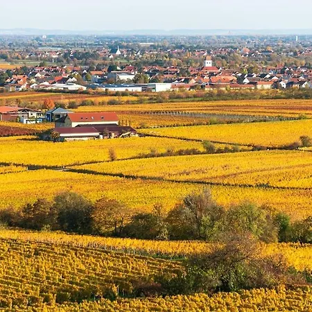 Unter Den Reben דירה Niederkirchen bei Deidesheim