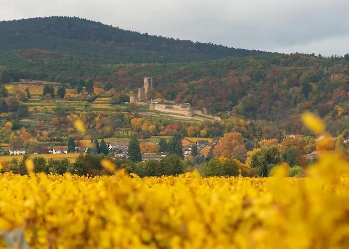 Apartamento Unter Den Reben