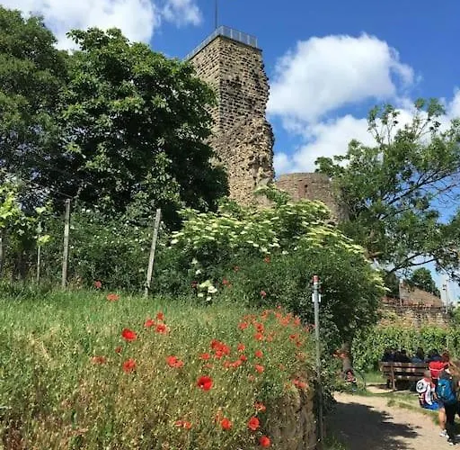Apartamento Unter Den Reben Niederkirchen bei Deidesheim