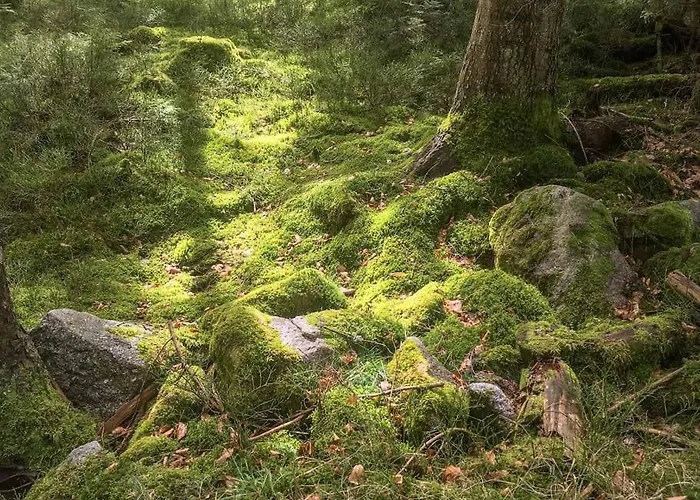 Apartamento Unter Den Reben Niederkirchen bei Deidesheim