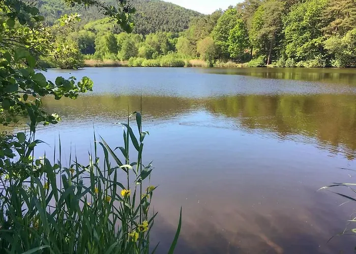Unter Den Reben Apartamento Niederkirchen bei Deidesheim