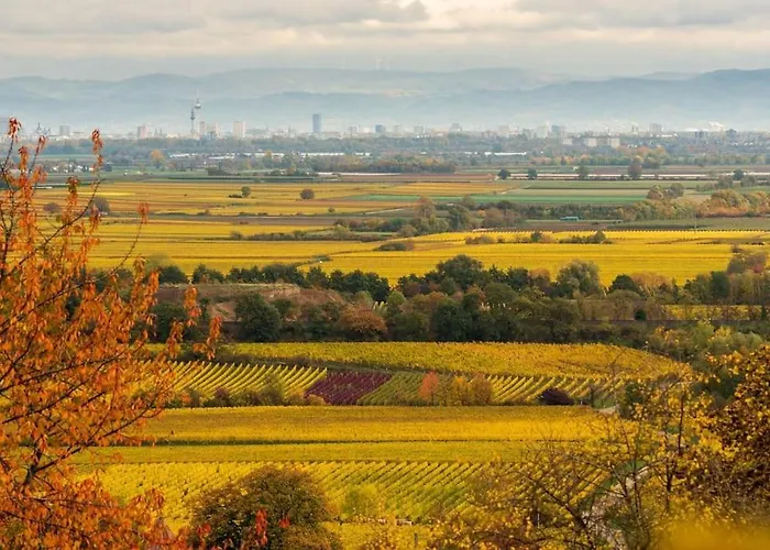 Apartamento Unter Den Reben *