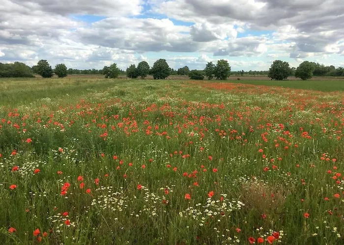 Unter Den Reben Apartamento