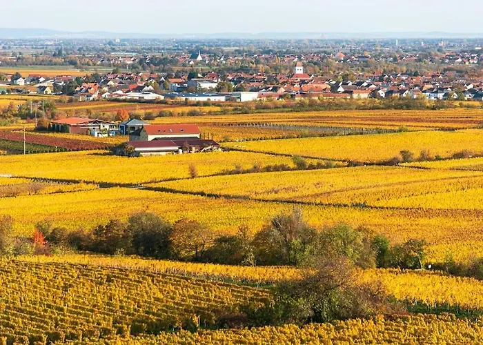 Unter Den Reben Apartamento Niederkirchen bei Deidesheim